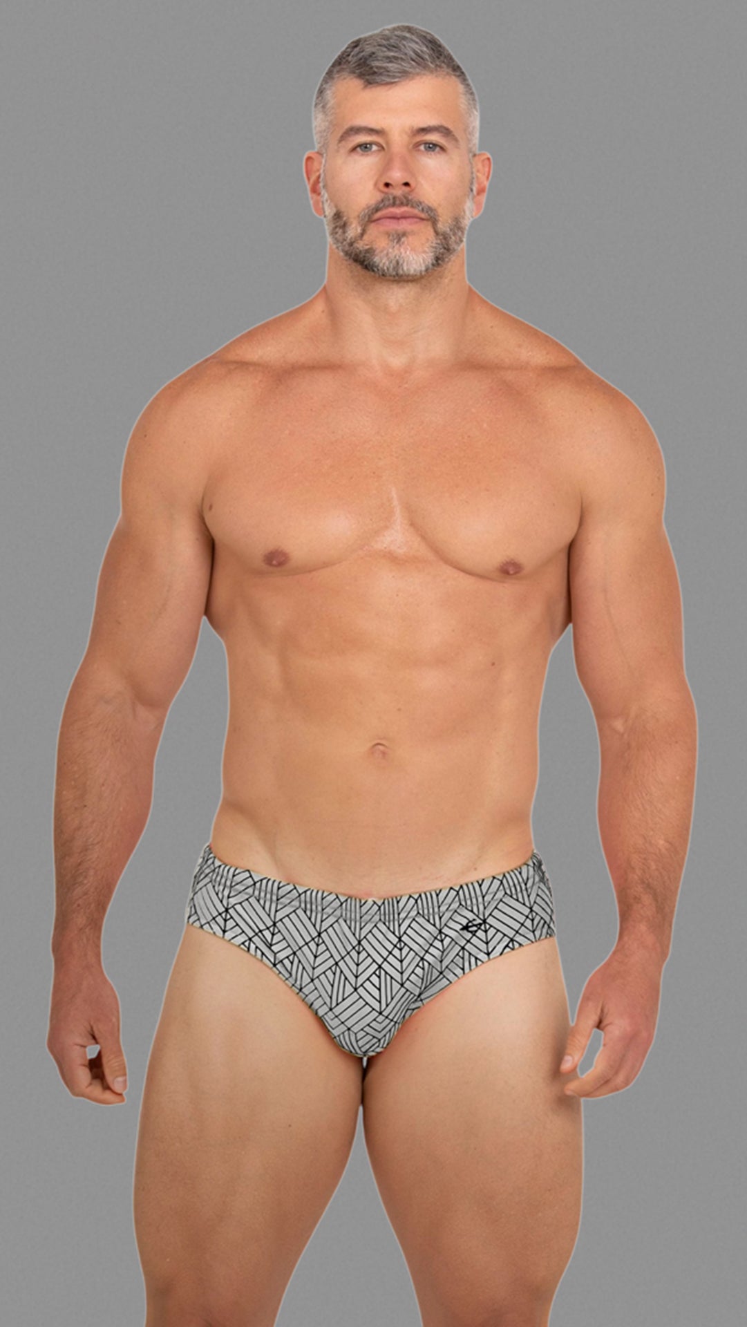 Equal Swimwear Brief Geometría Plateado