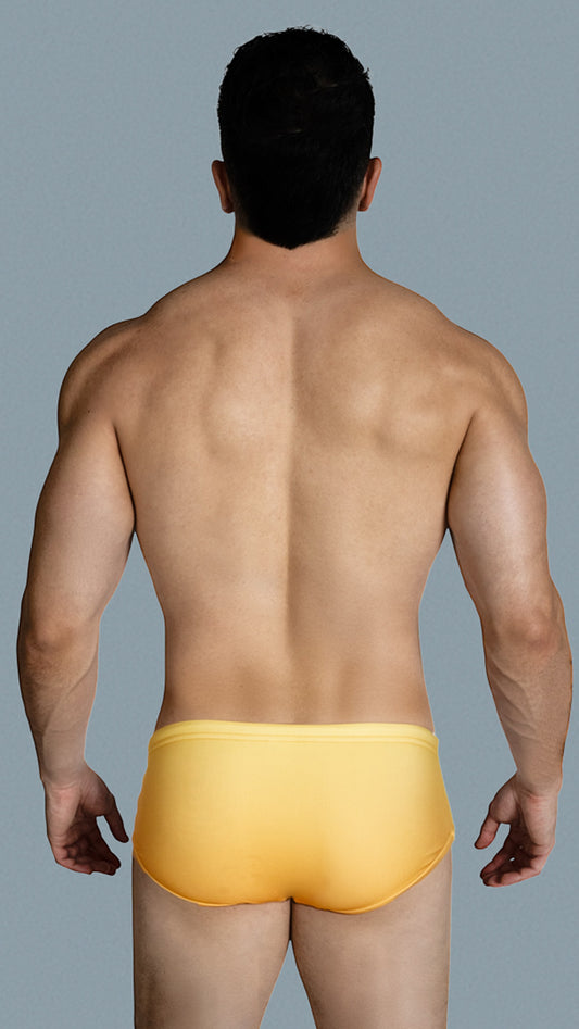 Equal Swimwear Brief Colors Amarillo
