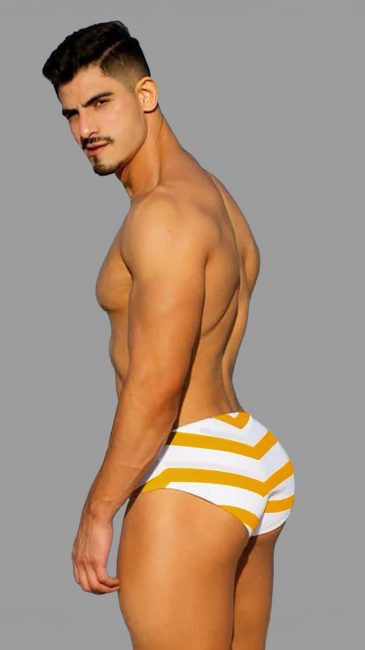 Equal Swimwear Brief Zig Zag Amarillo